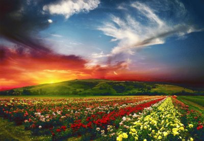 Paisaje de atardecer floreado jigsaw puzzle