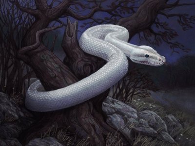 פאזל של Serpiente blanca