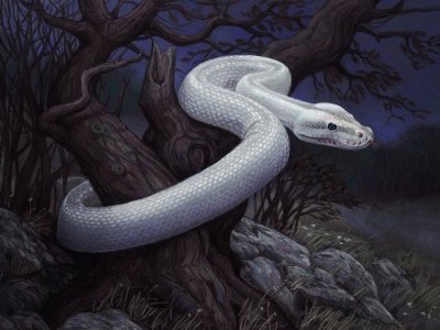 Serpiente blanca