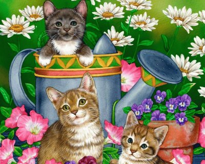 gatinhos