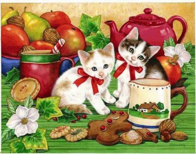 gatinhos