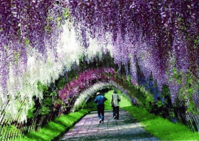 tÃºnel-de-wisteria-en-japÃ³n. jigsaw puzzle