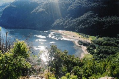 PN Los Alerces. Chubut. Argentina jigsaw puzzle