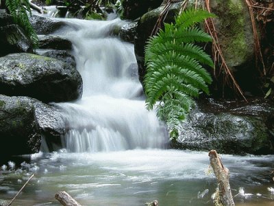 RÃ­o Negro. Argentina