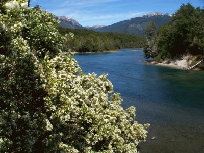 PN Los Alerces. Chubut. Argentina jigsaw puzzle