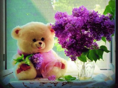 urso