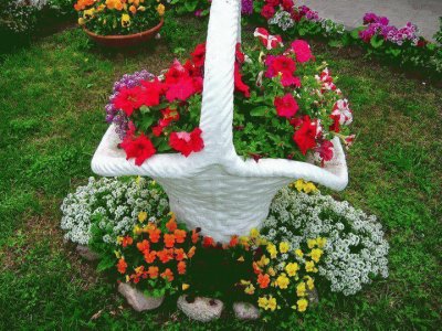 jardim