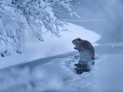 montana national geographic jigsaw puzzle