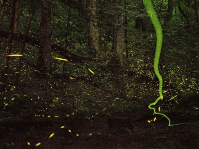 tenesse national geographic