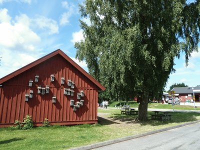 Barn with nest boxes Sweden