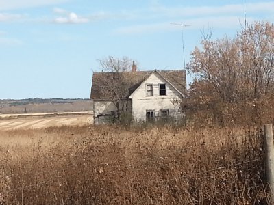 Alberta Prairie Farm