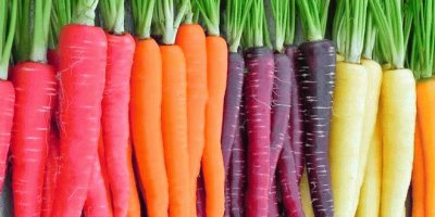 Zanahorias de colores