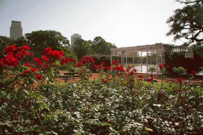 Rosedal. Ciudad de Buenos Aires. Argentina