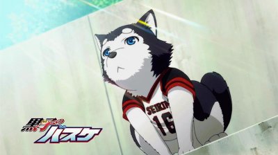 פאזל של kuroko