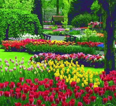 Garden jigsaw puzzle