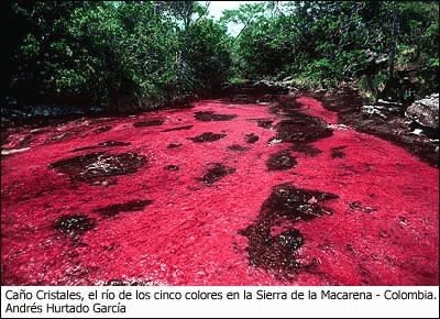 Cristales jigsaw puzzle