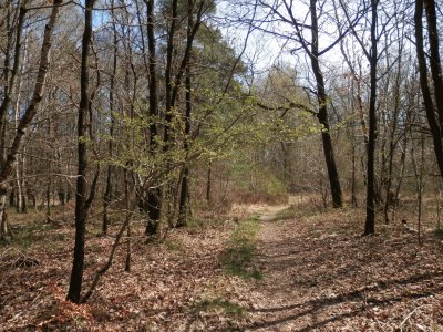 Sous-Bois (Bel.)