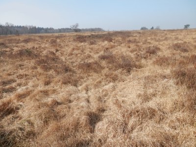 Fagnes (East Belgium) jigsaw puzzle