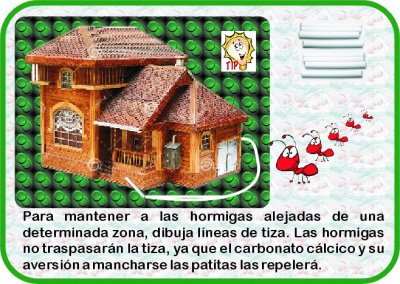 TIP PARA CONTROL DE HORMIGAS. jigsaw puzzle