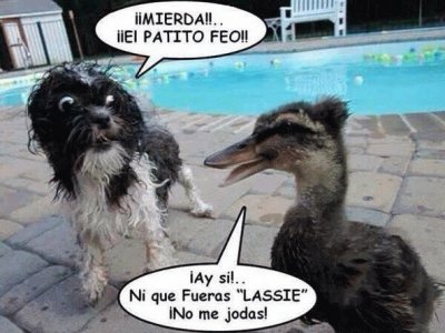 EL PATITO FEO.