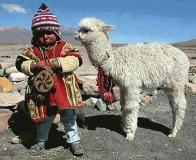 NiÃ±o y llama, altiplano