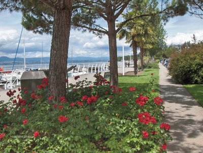 Lake Leman (FR) jigsaw puzzle