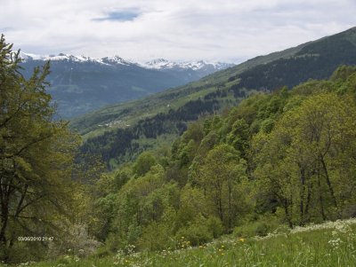 Alpes (Fr.)