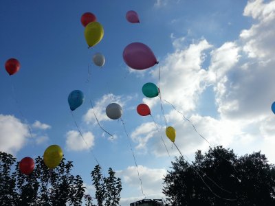 פאזל של baloons