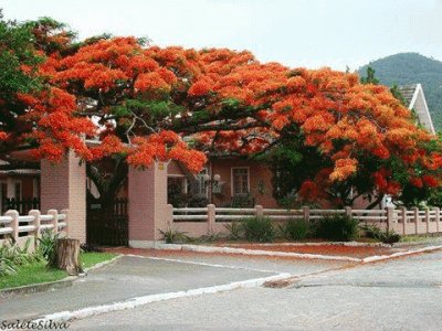 ljlj