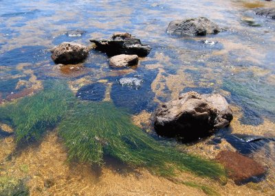 פאזל של En el rÃ­o Yuspe. CÃ³rdoba. Argentina