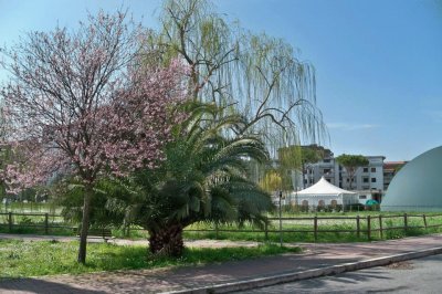 scorcio del Parco Ombrone Grosseto