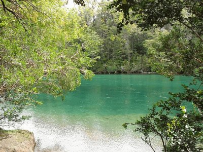 PN Los Alerces. Chubut. Argentina jigsaw puzzle