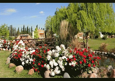 En San Rafael. Mendoza. Argentina jigsaw puzzle