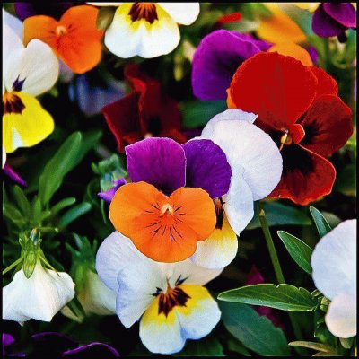 Alegres flores jigsaw puzzle