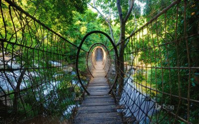 Sway Bridge North West Province South Africa