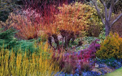 Botanic Gardens Cambridge England jigsaw puzzle