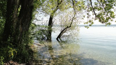 inondation