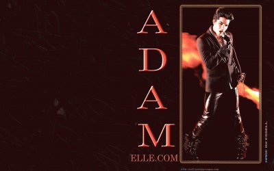 Adam Lambert jigsaw puzzle