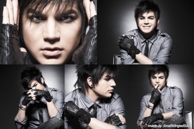 Adam Lambert jigsaw puzzle