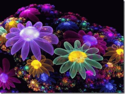 flores ilumindas jigsaw puzzle