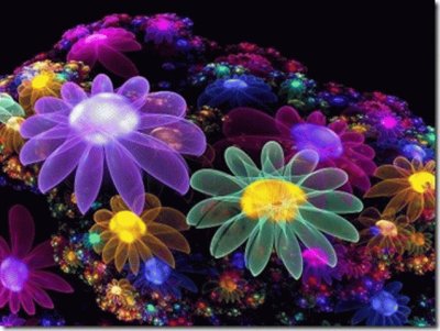 flores ilumindas