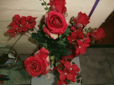 ROSAS