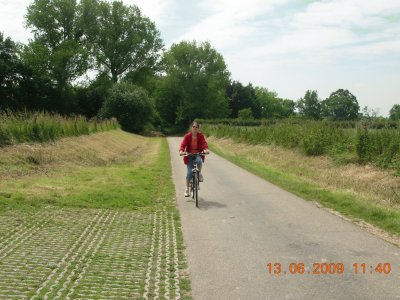 Bicycle in Baie de Somme (France) jigsaw puzzle