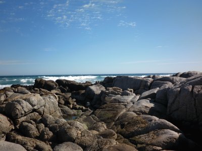 Algarrobo, V regiÃ³n Chile jigsaw puzzle