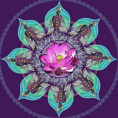 Pretty Flower