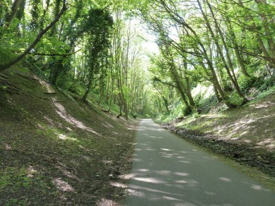 Rodwell trail jigsaw puzzle