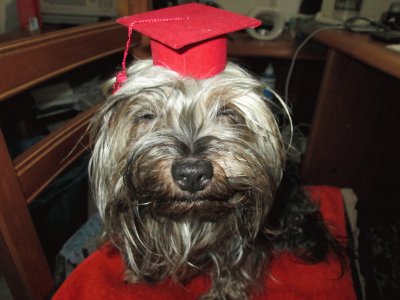 Mi perrita en el dia de su graduaciÃ³n