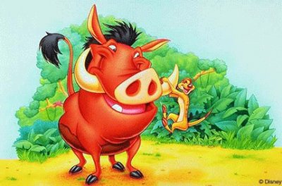 TimÃ£o e Pumba