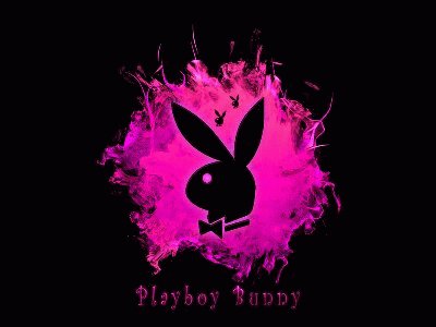 pink  play boy bunny