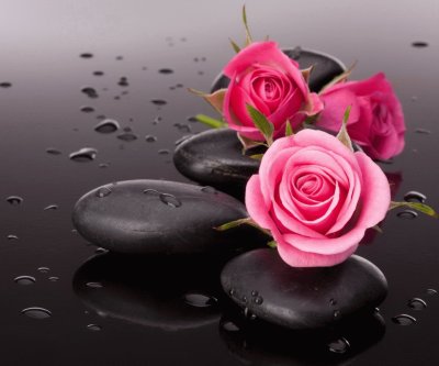 pink rose jigsaw puzzle